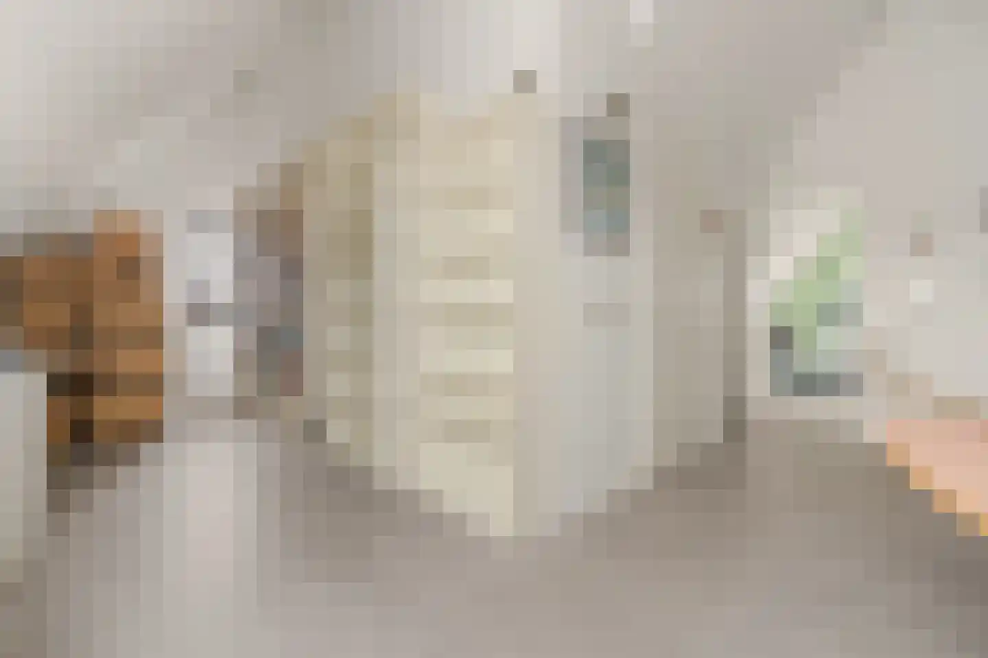 Schoeimes 10 Hooglanderveen thumbnail 33