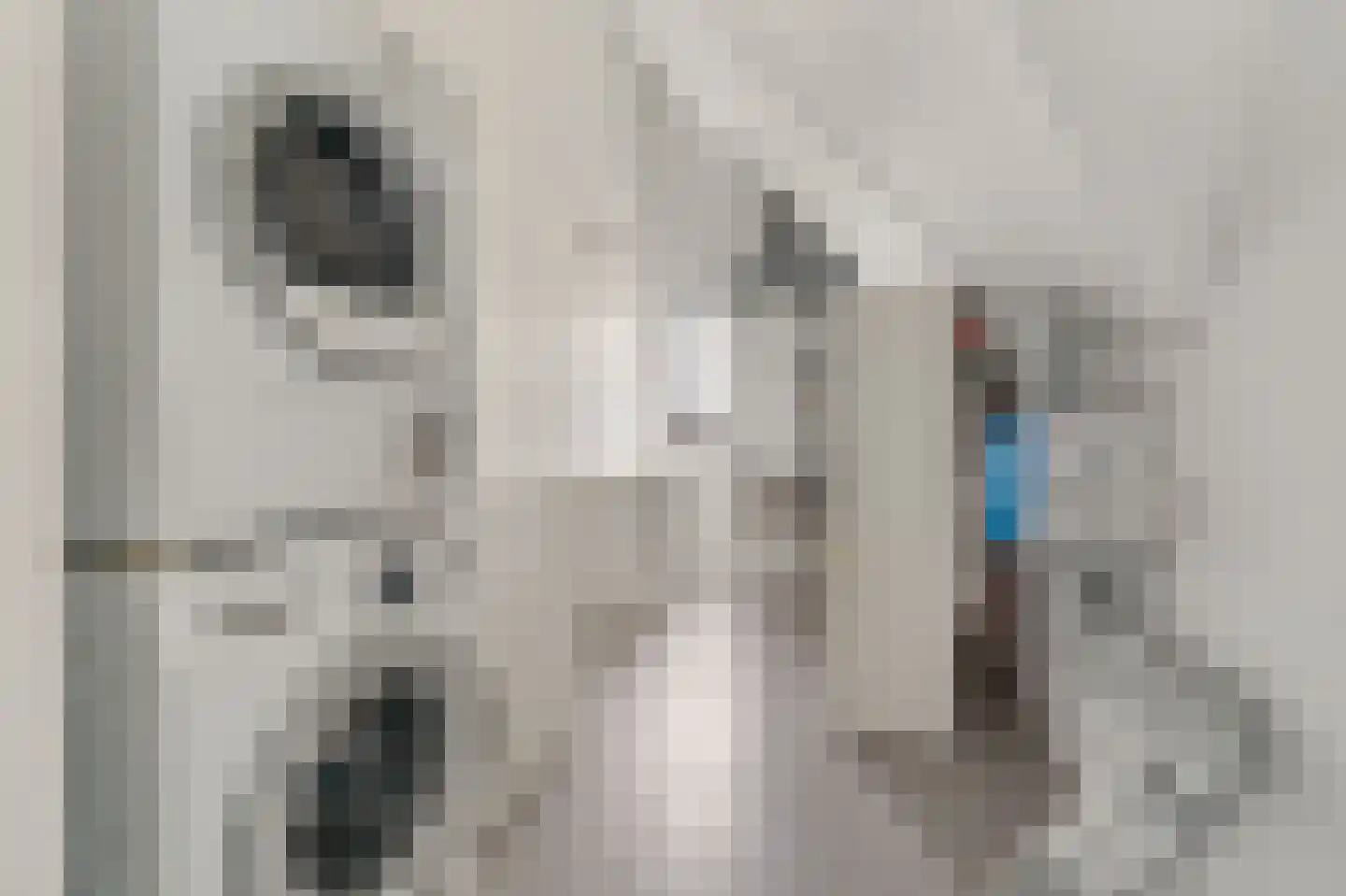 Schoeimes 10 Hooglanderveen thumbnail 37