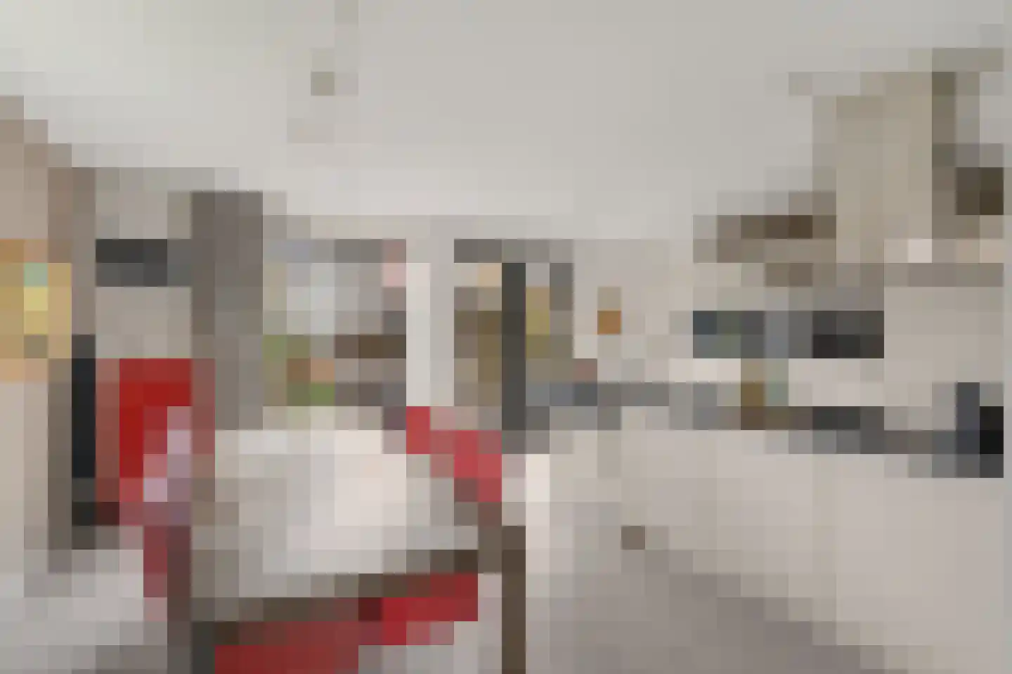 Schoeimes 10 Hooglanderveen thumbnail 4