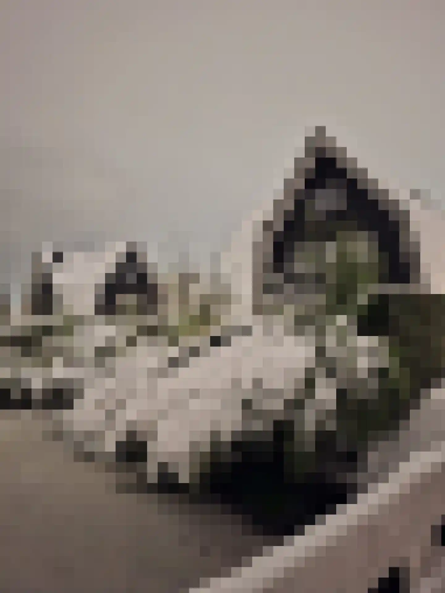 Schoeimes 10 Hooglanderveen thumbnail 41