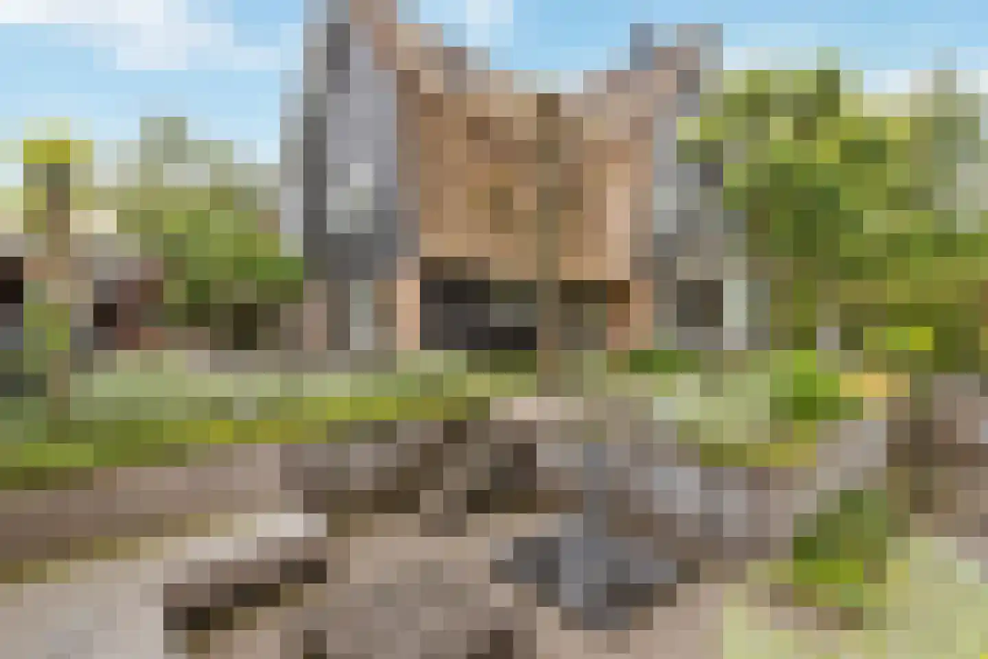 Schoeimes 10 Hooglanderveen thumbnail 43
