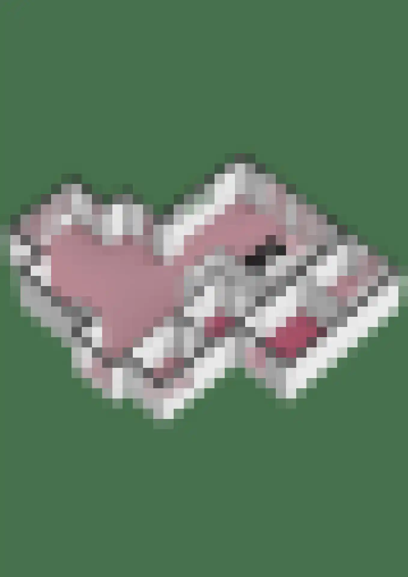 Schoeimes 10 Hooglanderveen thumbnail 46