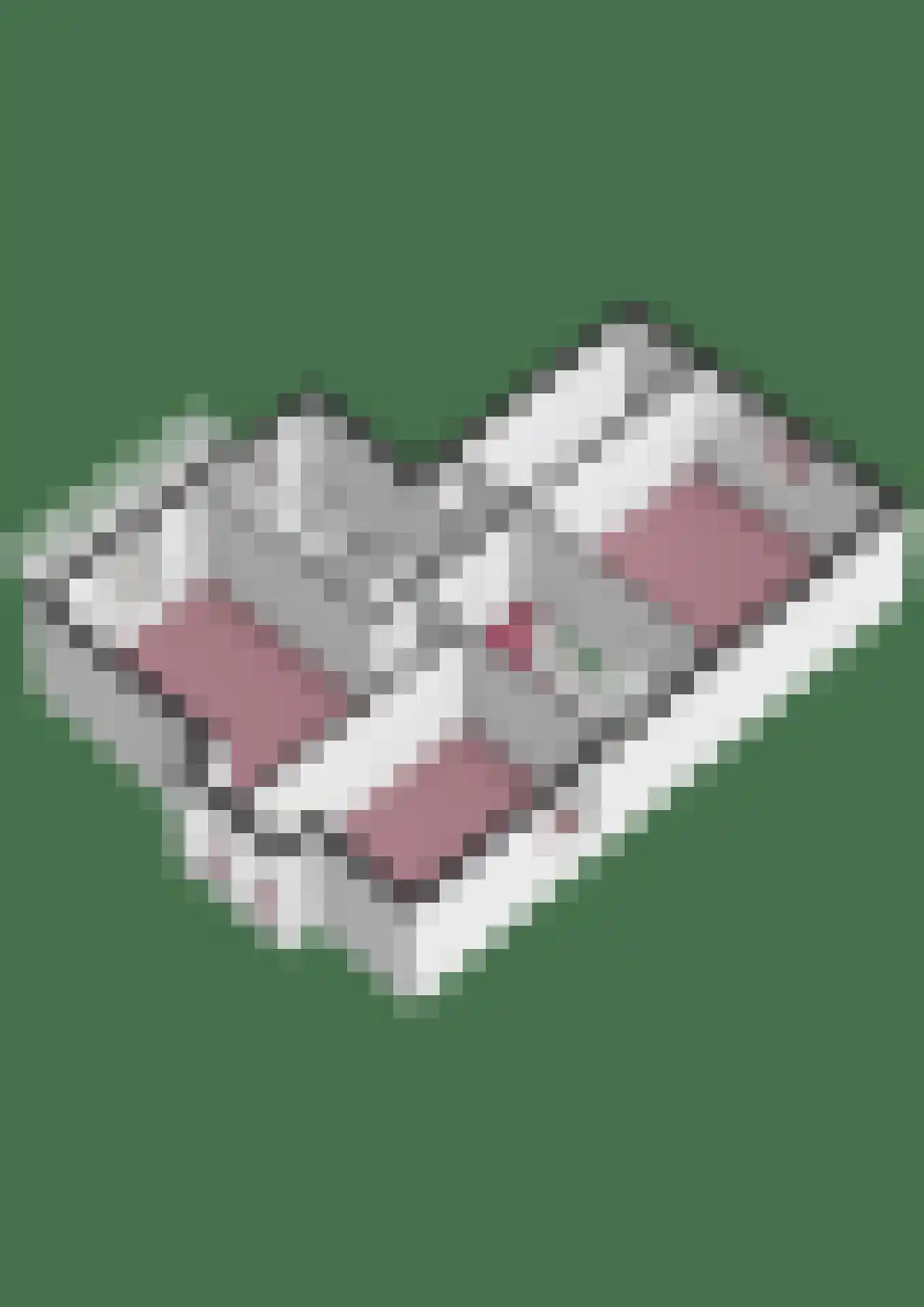 Schoeimes 10 Hooglanderveen thumbnail 48