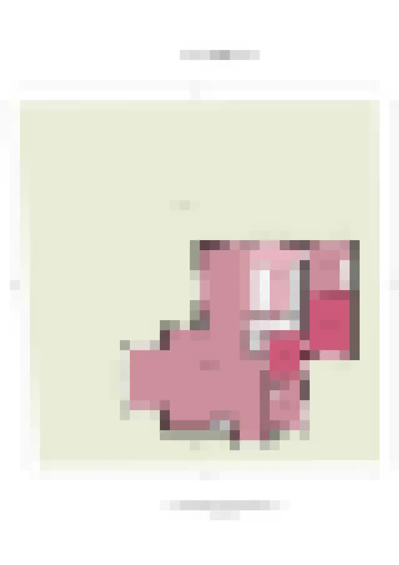 Schoeimes 10 Hooglanderveen thumbnail 55