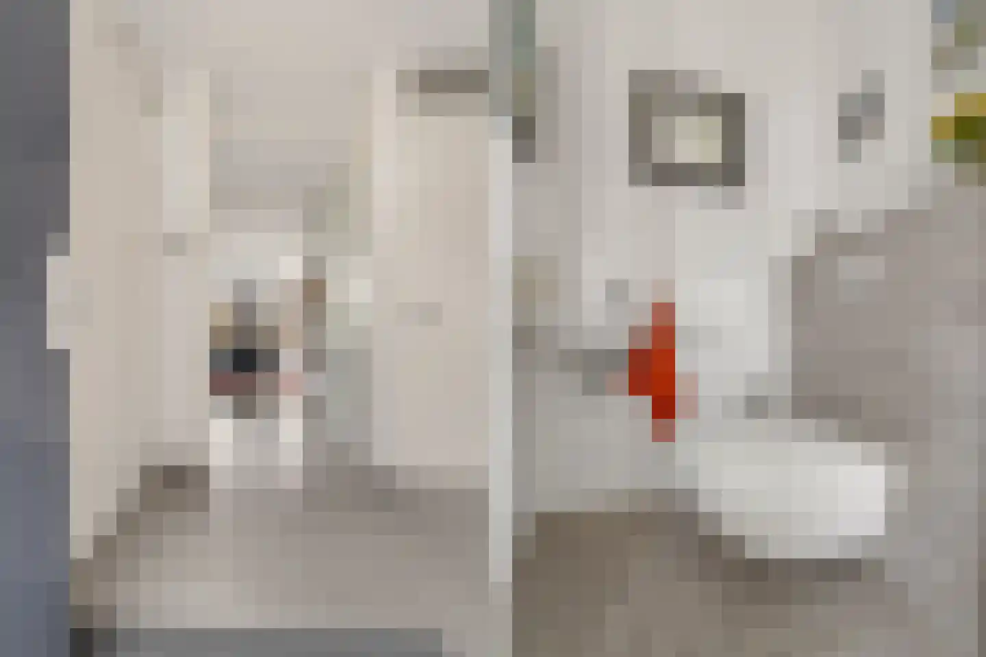Schoeimes 10 Hooglanderveen thumbnail 6