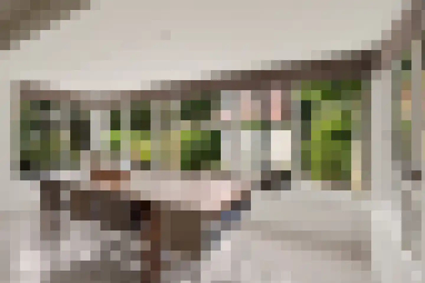 Schoeimes 5 Hooglanderveen thumbnail 11