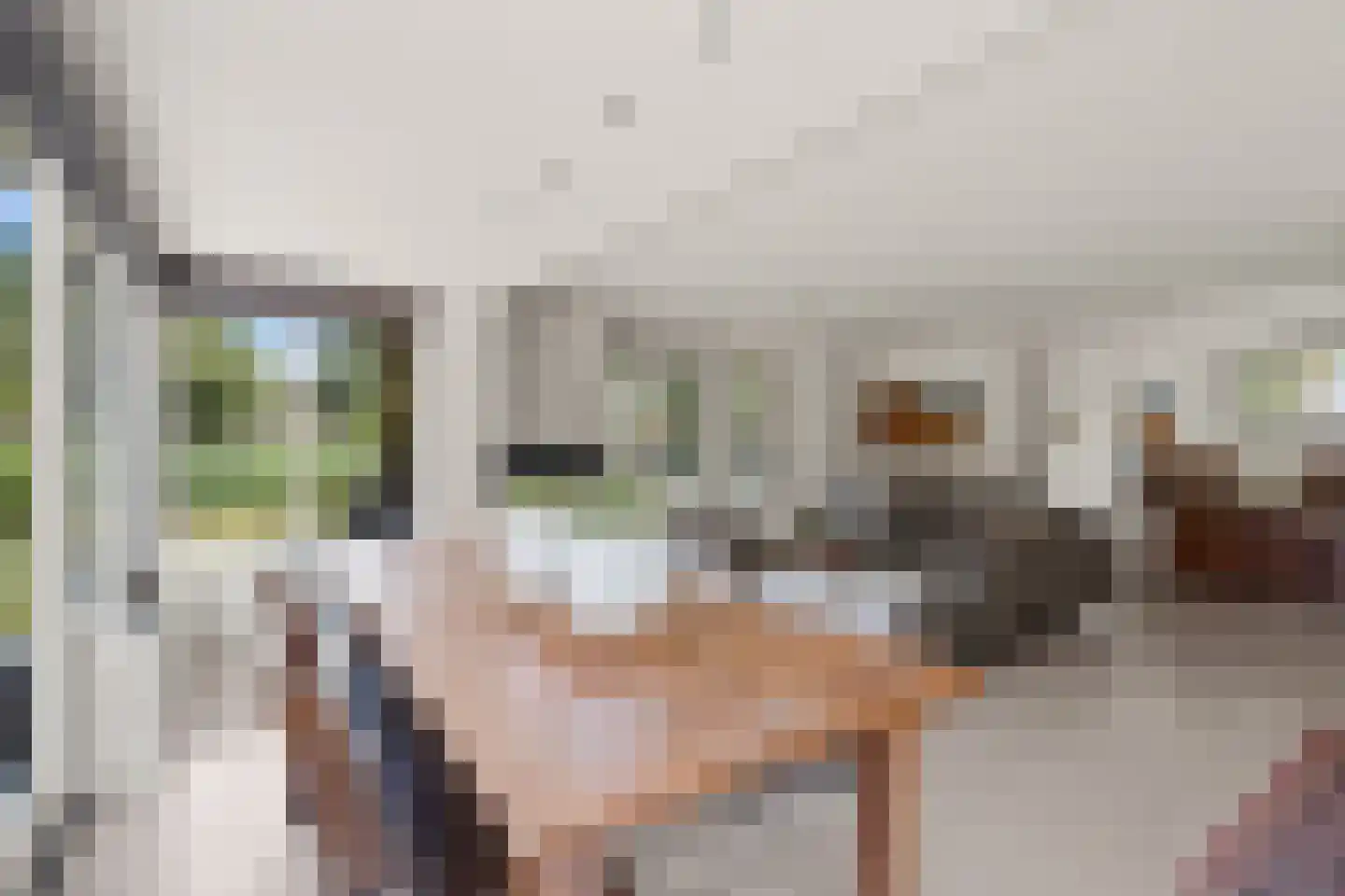 Schoeimes 5 Hooglanderveen thumbnail 13