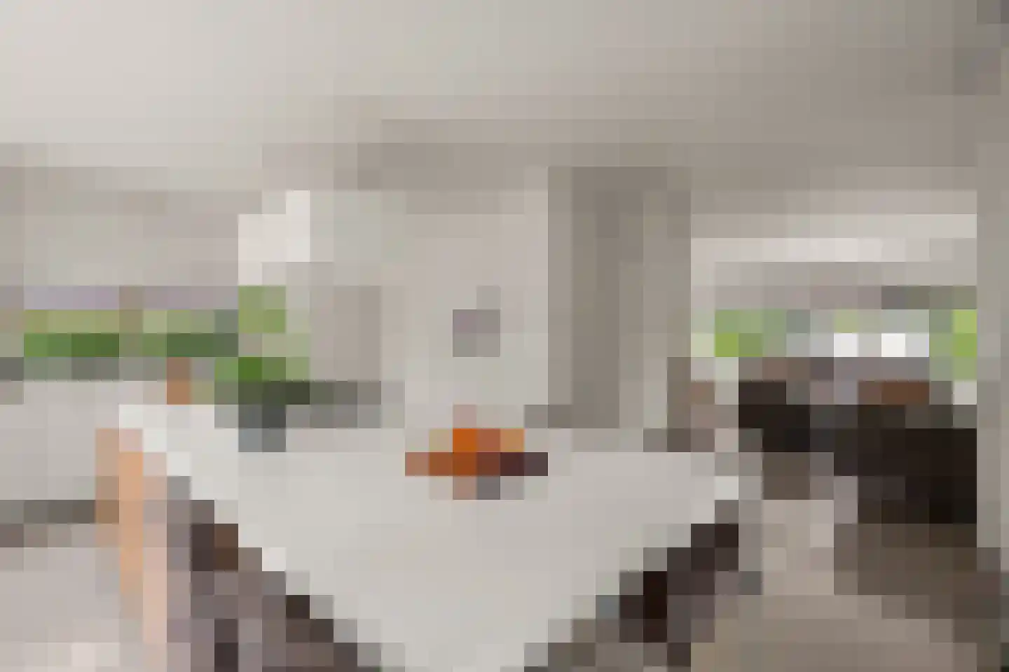 Schoeimes 5 Hooglanderveen thumbnail 16