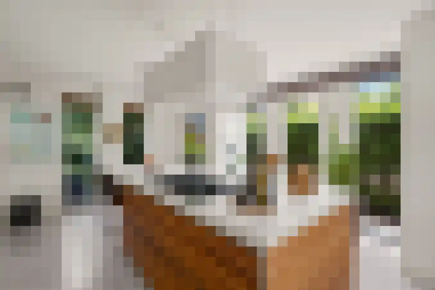Schoeimes 5 Hooglanderveen thumbnail 18