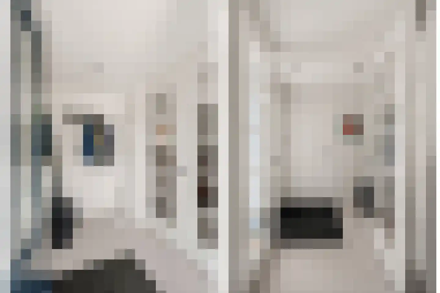 Schoeimes 5 Hooglanderveen thumbnail 19