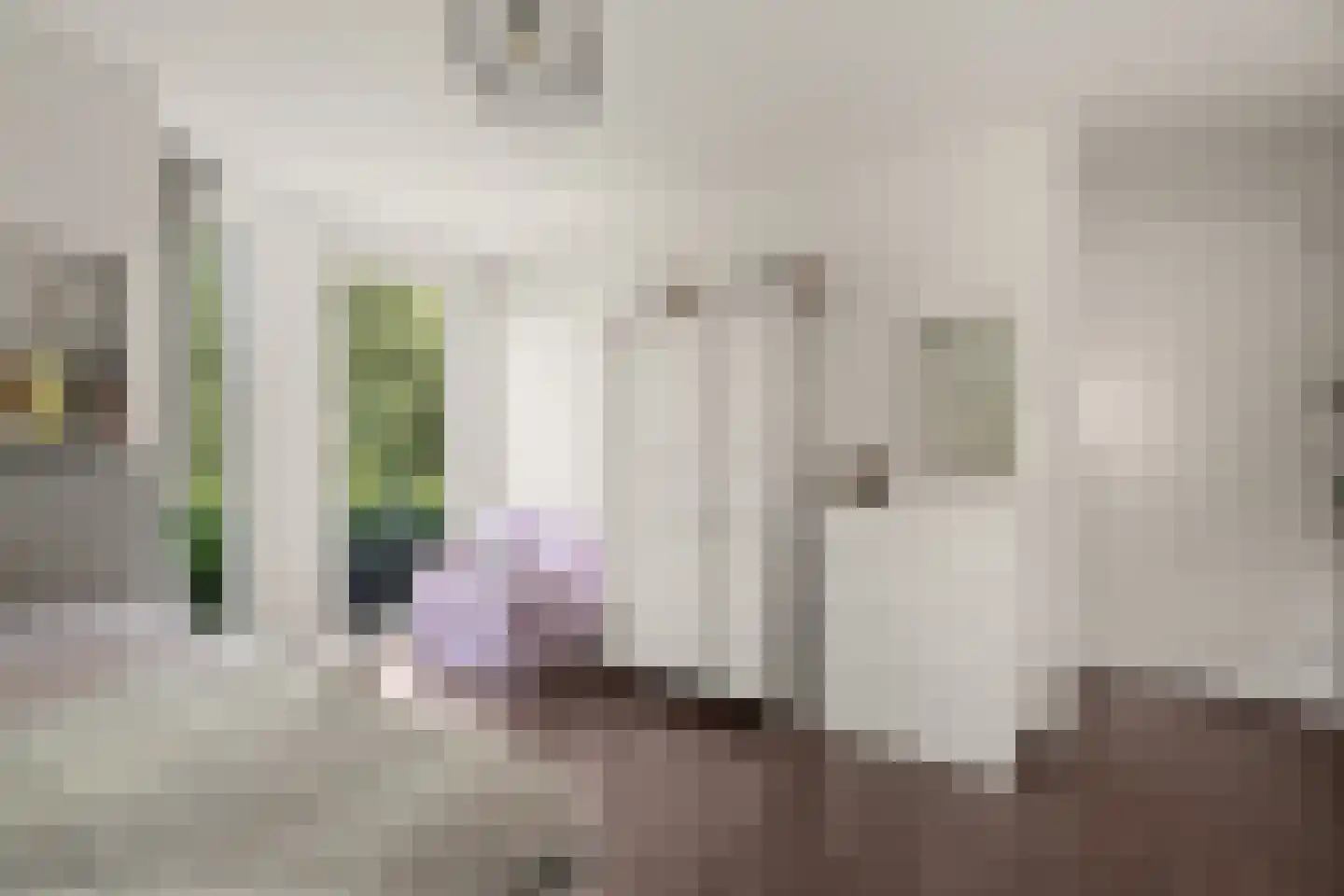 Schoeimes 5 Hooglanderveen thumbnail 30