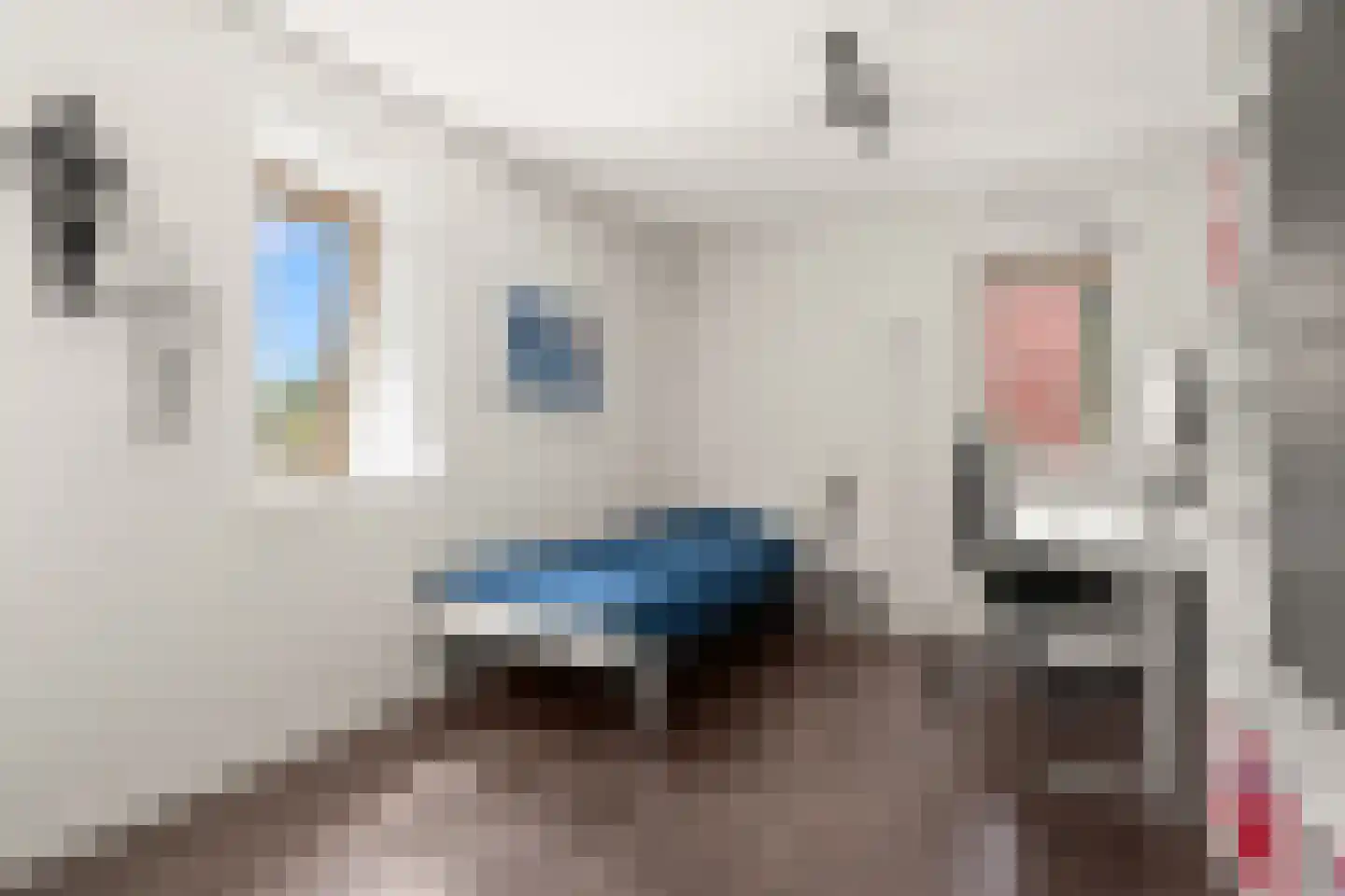 Schoeimes 5 Hooglanderveen thumbnail 31