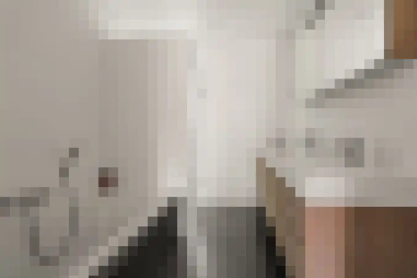 Schoeimes 5 Hooglanderveen thumbnail 34