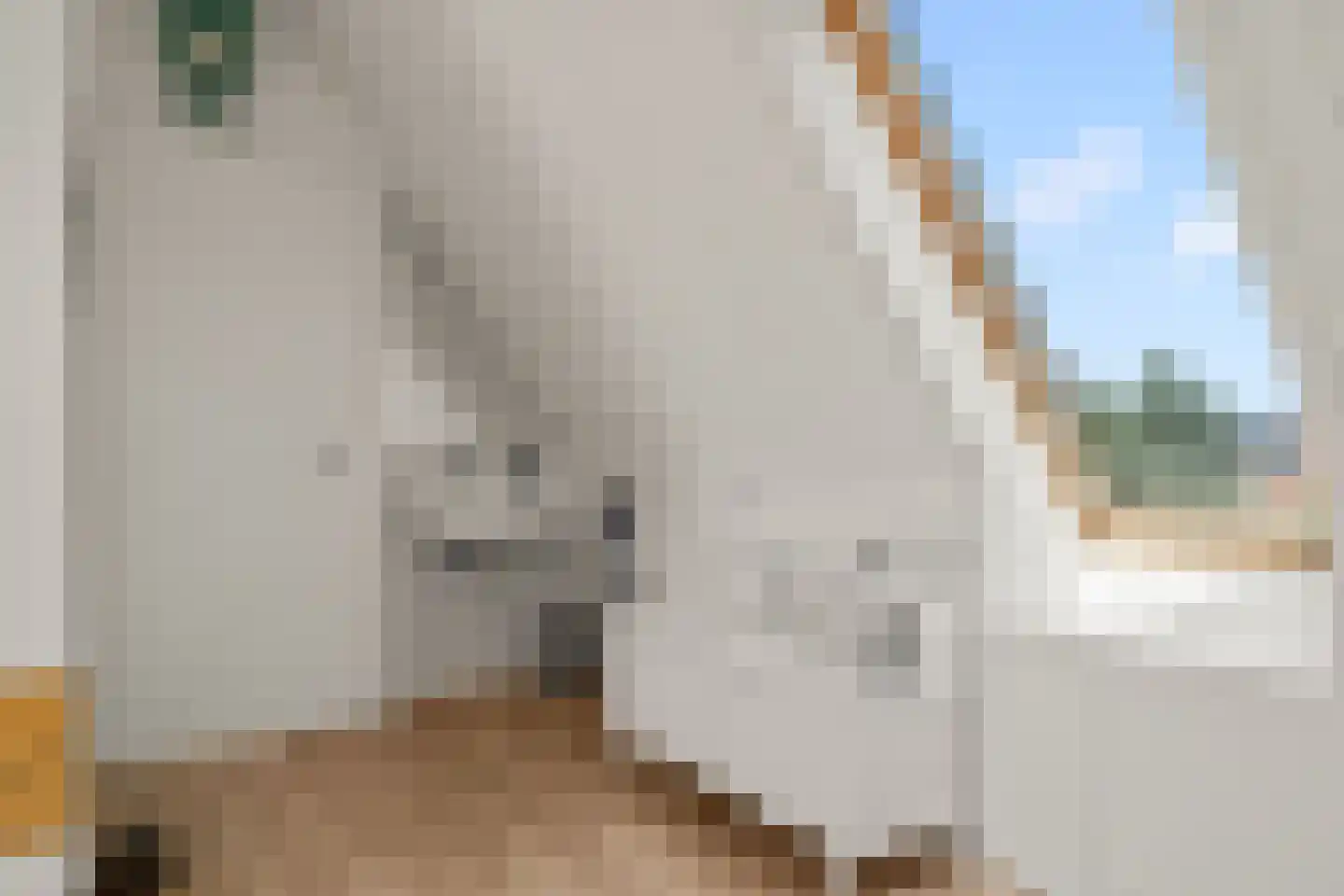 Schoeimes 5 Hooglanderveen thumbnail 44