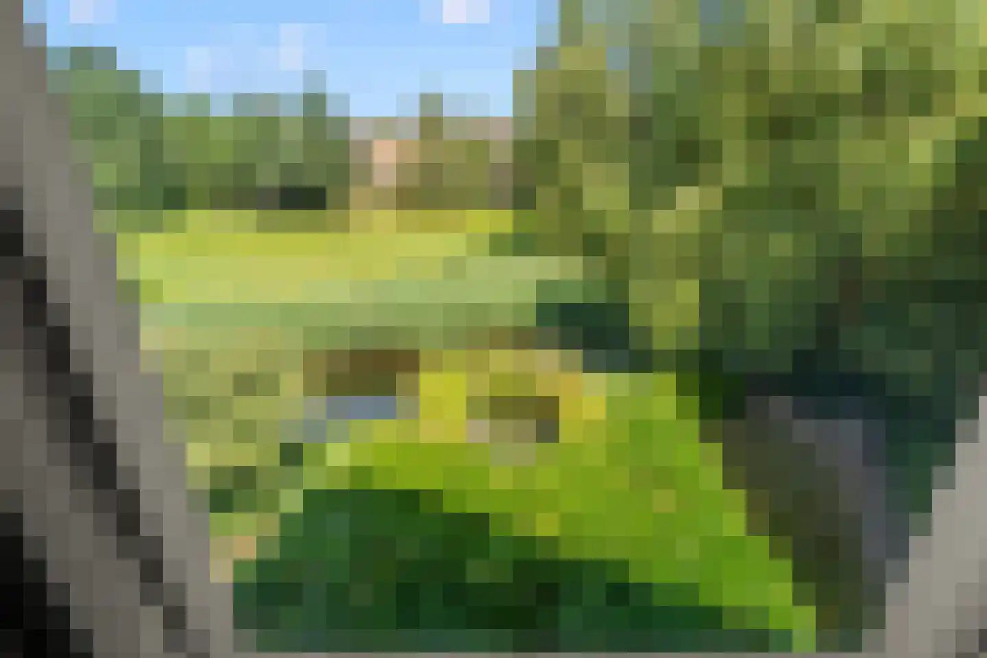 Schoeimes 5 Hooglanderveen thumbnail 45