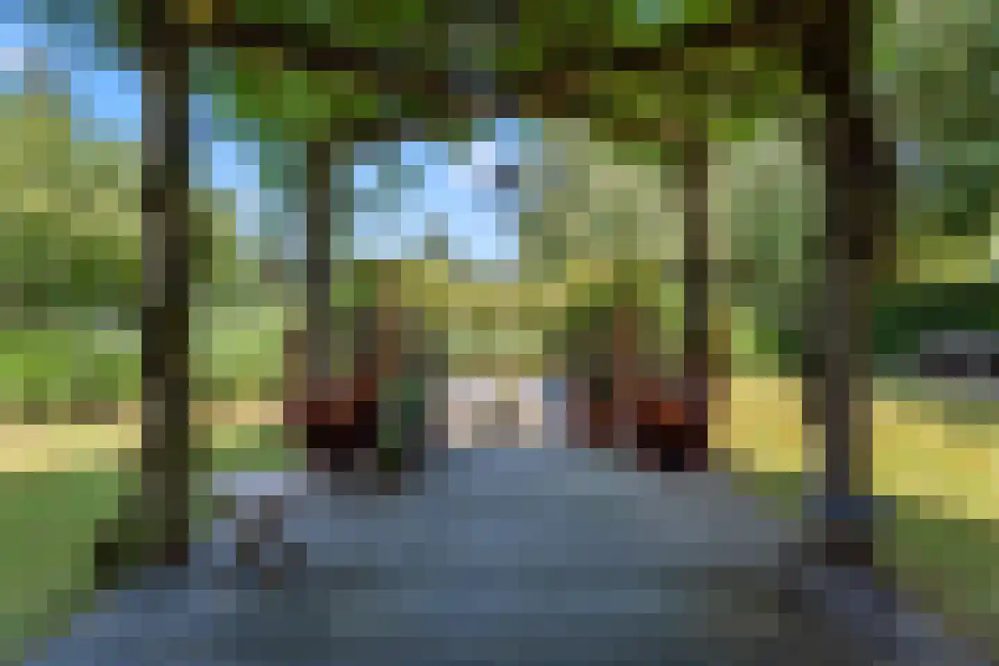 Schoeimes 5 Hooglanderveen thumbnail 46