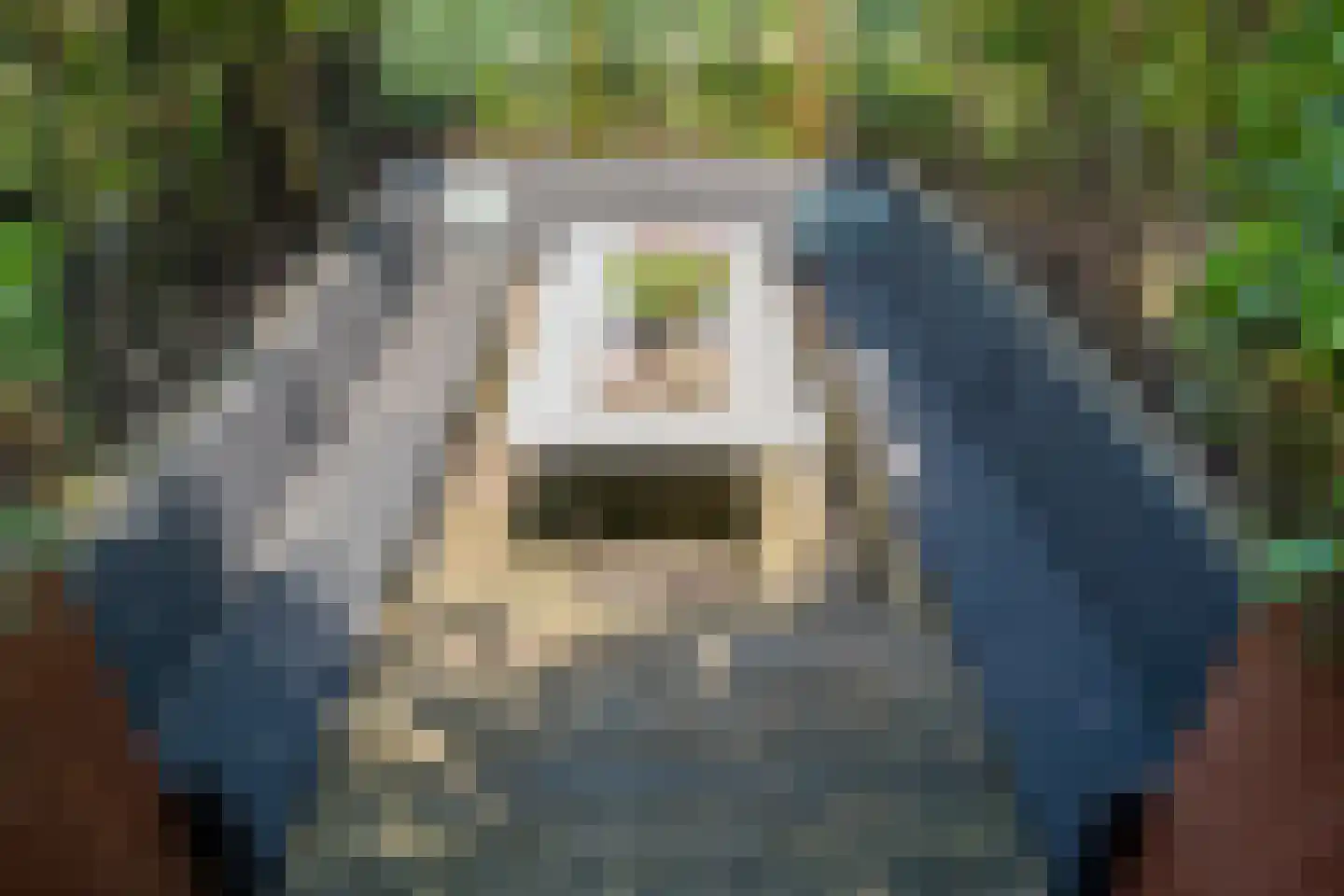 Schoeimes 5 Hooglanderveen thumbnail 47