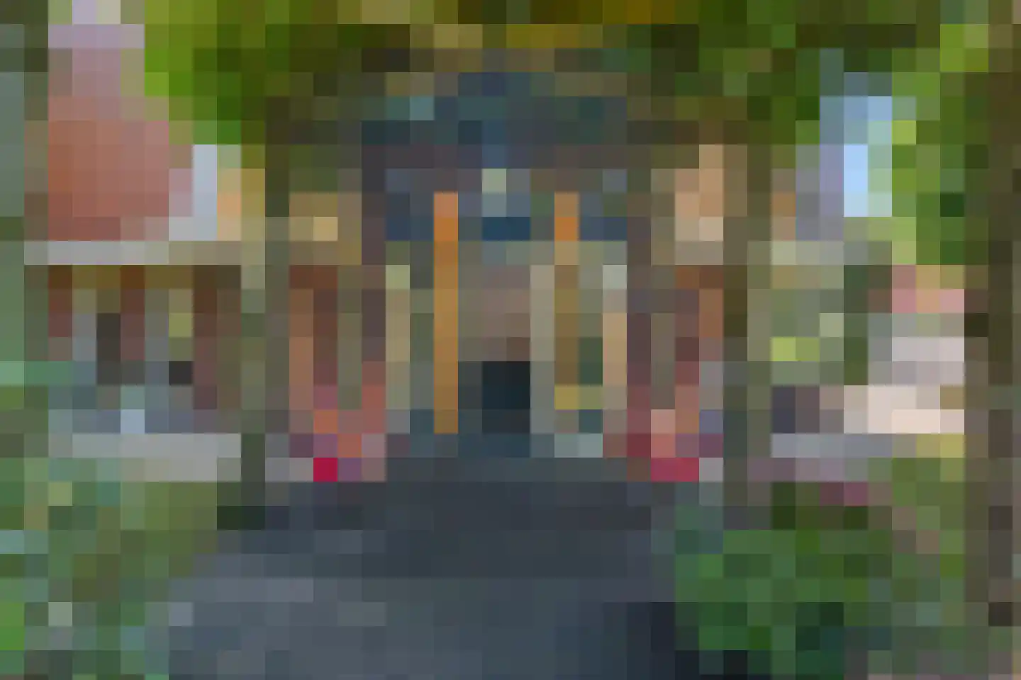 Schoeimes 5 Hooglanderveen thumbnail 49