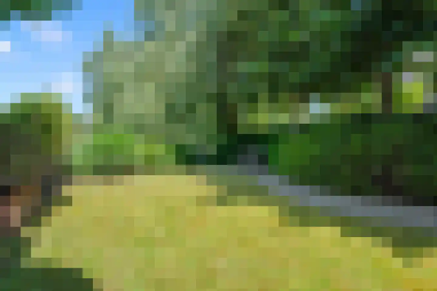 Schoeimes 5 Hooglanderveen thumbnail 50