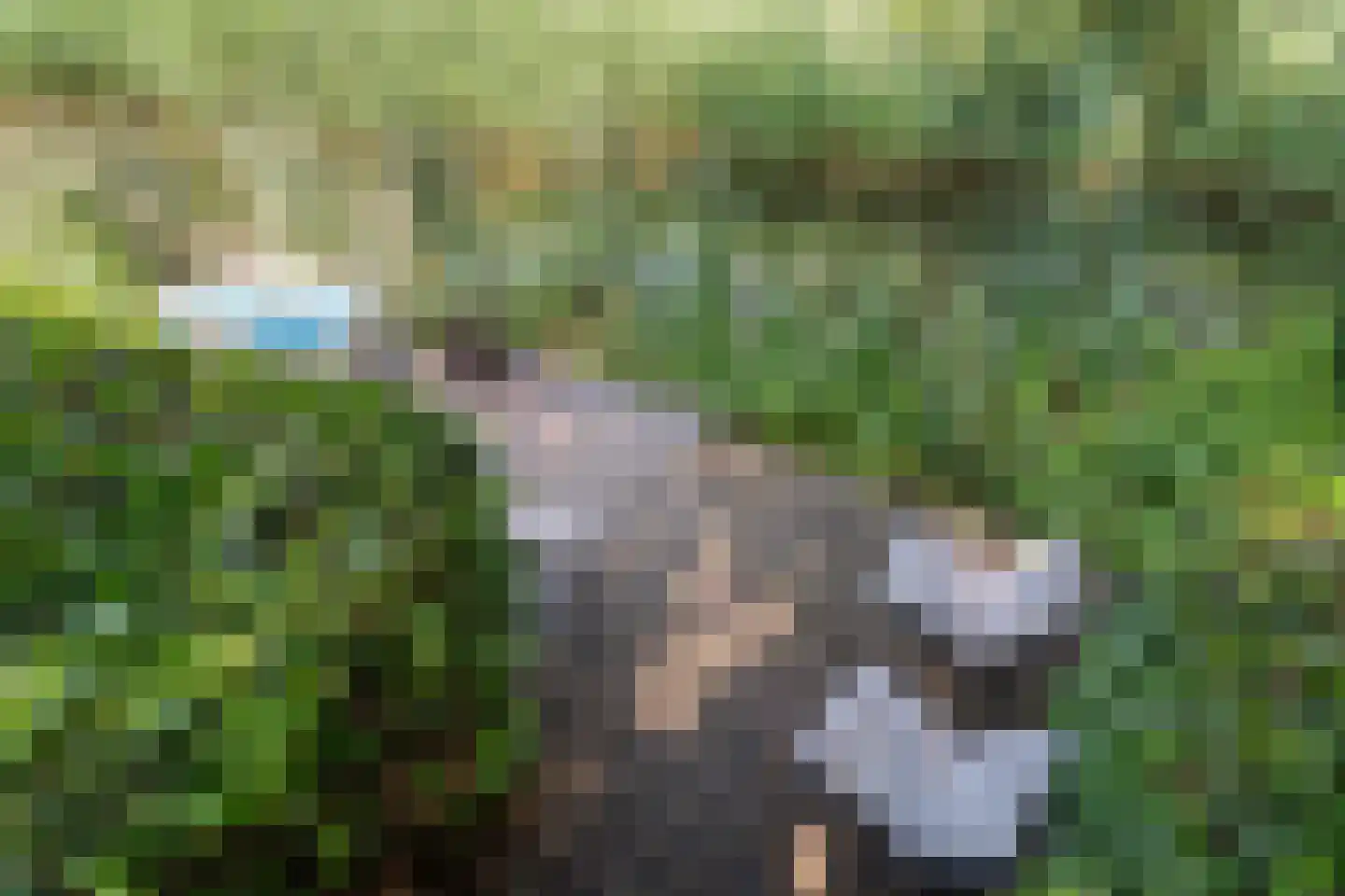 Schoeimes 5 Hooglanderveen thumbnail 51