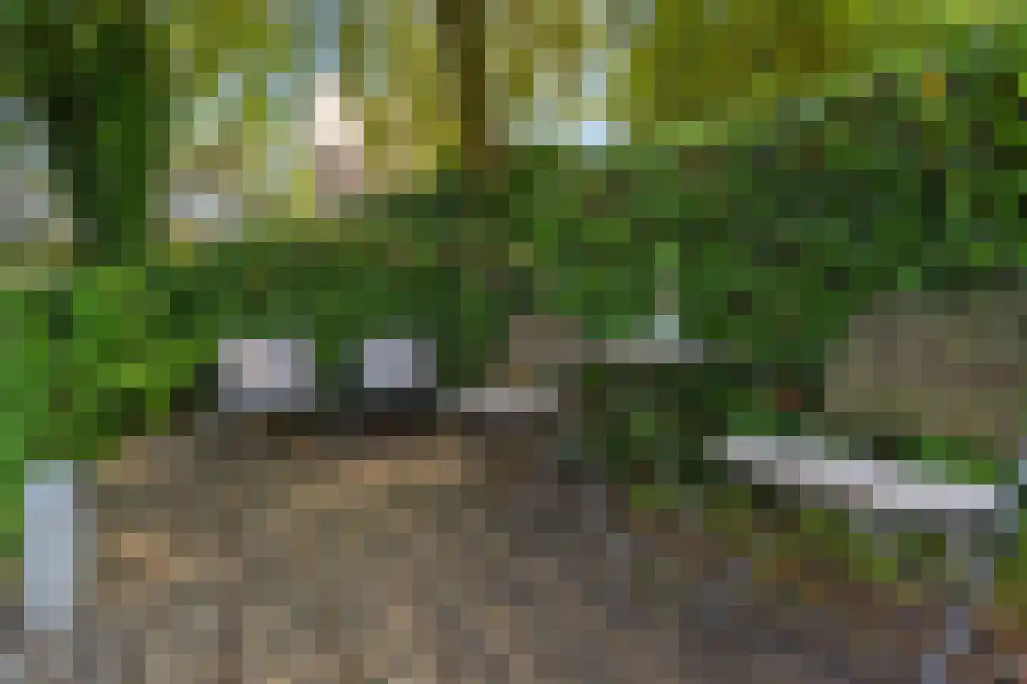 Schoeimes 5 Hooglanderveen thumbnail 52