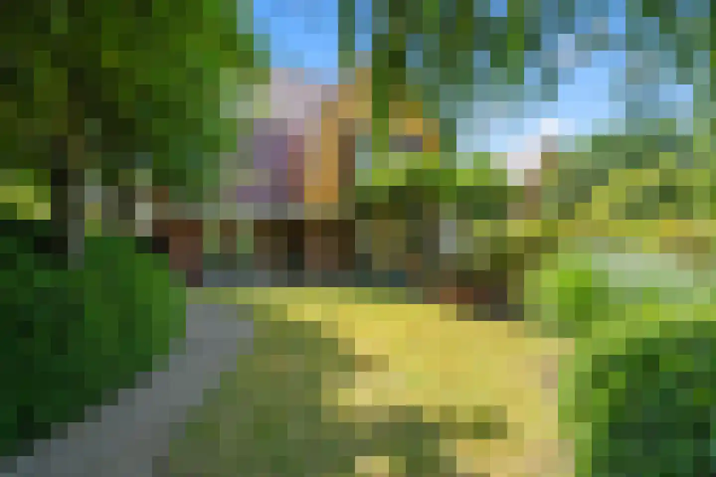 Schoeimes 5 Hooglanderveen thumbnail 53