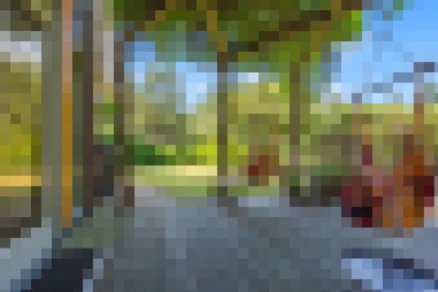 Schoeimes 5 Hooglanderveen thumbnail 54