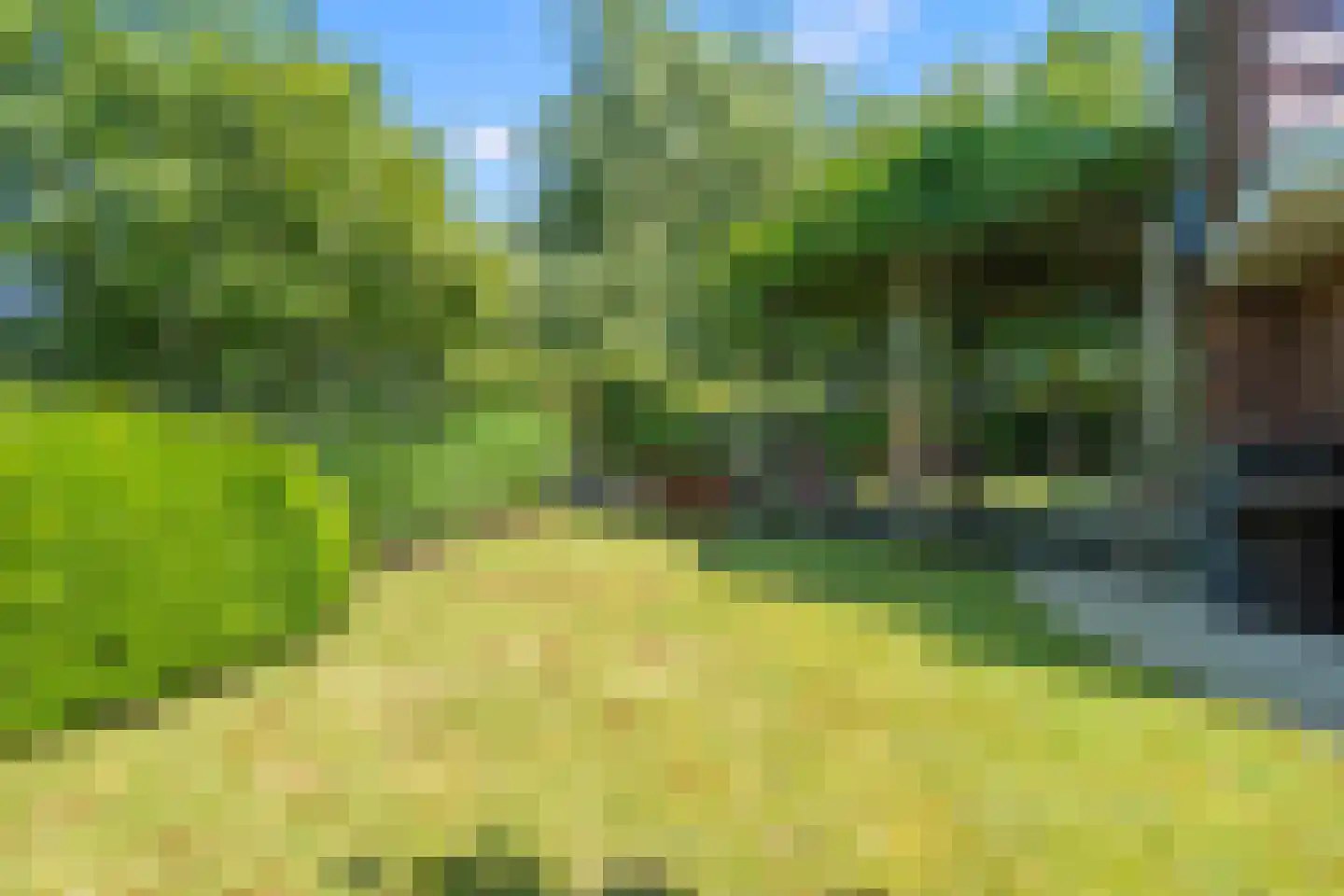 Schoeimes 5 Hooglanderveen thumbnail 56