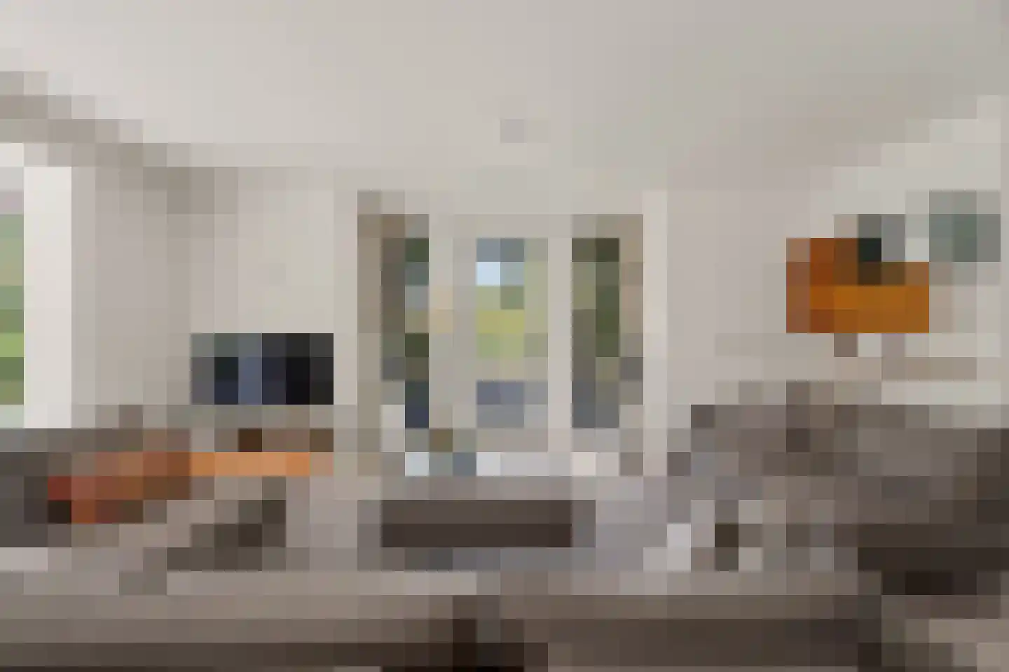 Schoeimes 5 Hooglanderveen thumbnail 6