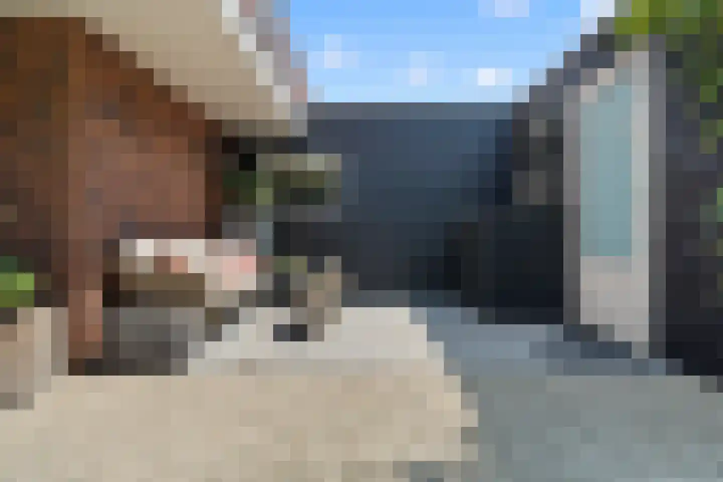 Schoeimes 5 Hooglanderveen thumbnail 60