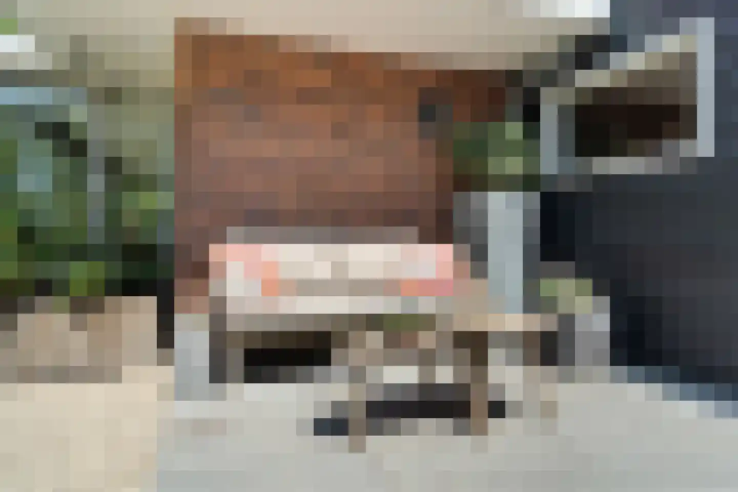 Schoeimes 5 Hooglanderveen thumbnail 61