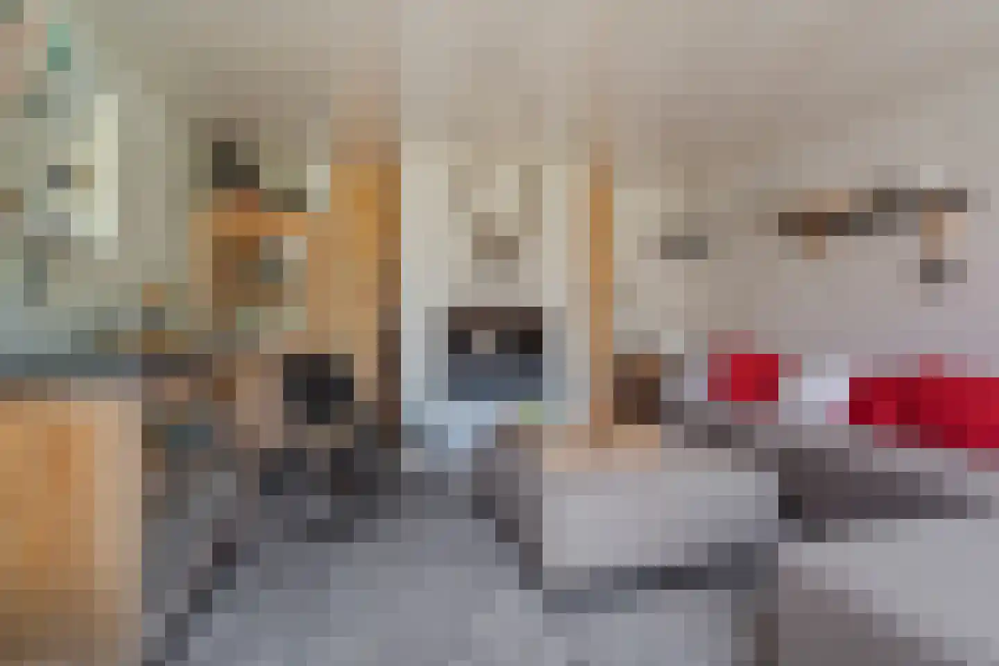 Schoeimes 5 Hooglanderveen thumbnail 63
