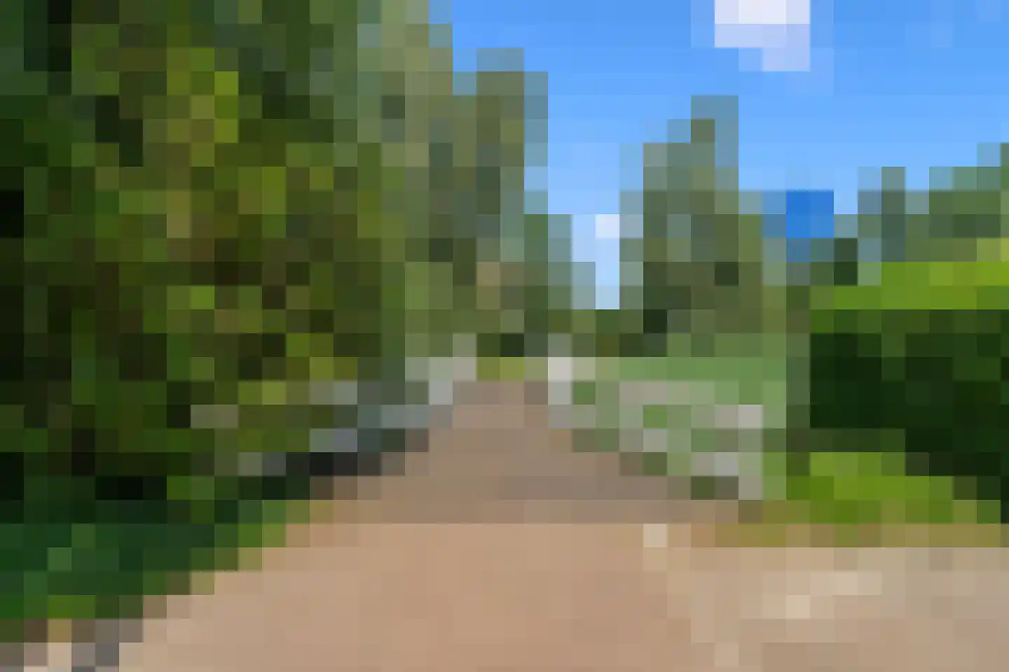 Schoeimes 5 Hooglanderveen thumbnail 65