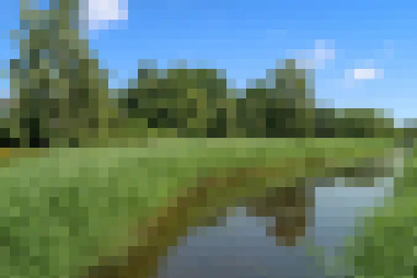 Schoeimes 5 Hooglanderveen thumbnail 68