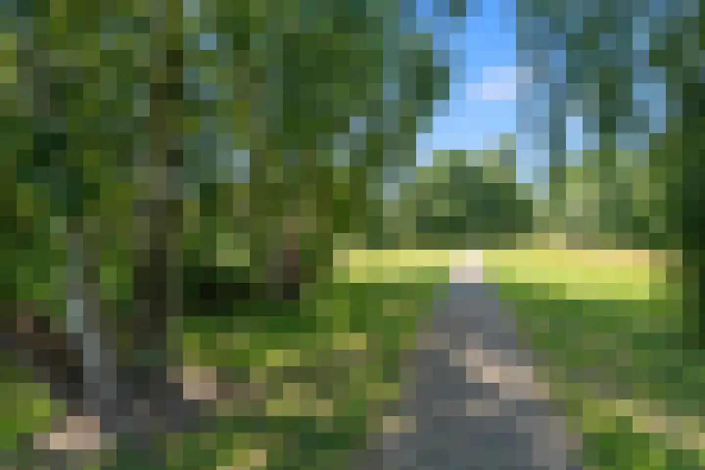 Schoeimes 5 Hooglanderveen thumbnail 69