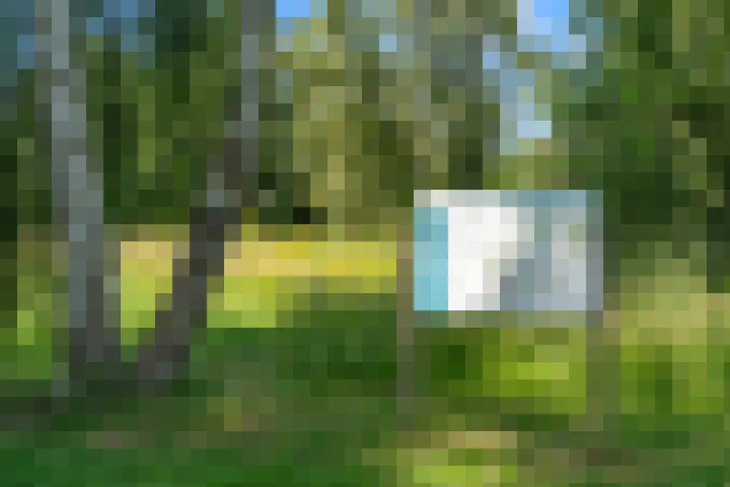 Schoeimes 5 Hooglanderveen thumbnail 73