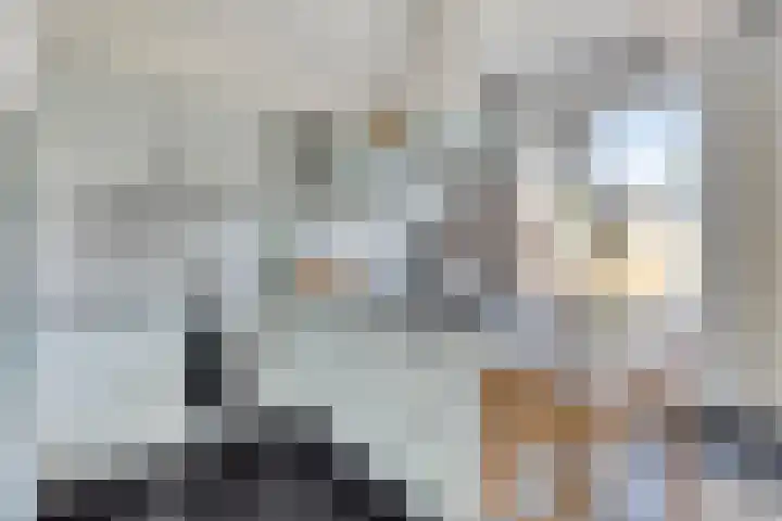 Schoemekerstraat 23 Oirschot thumbnail 13
