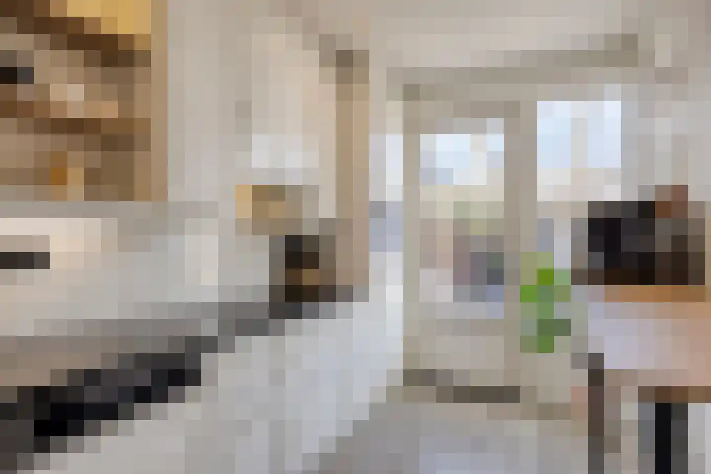 Schoemekerstraat 6 Oirschot thumbnail 16