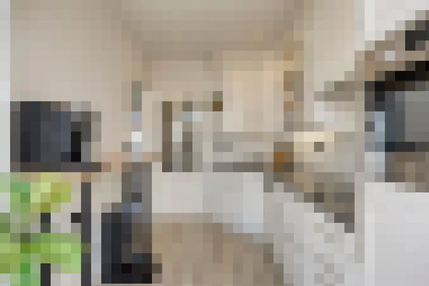 Schoemekerstraat 6 Oirschot thumbnail 17