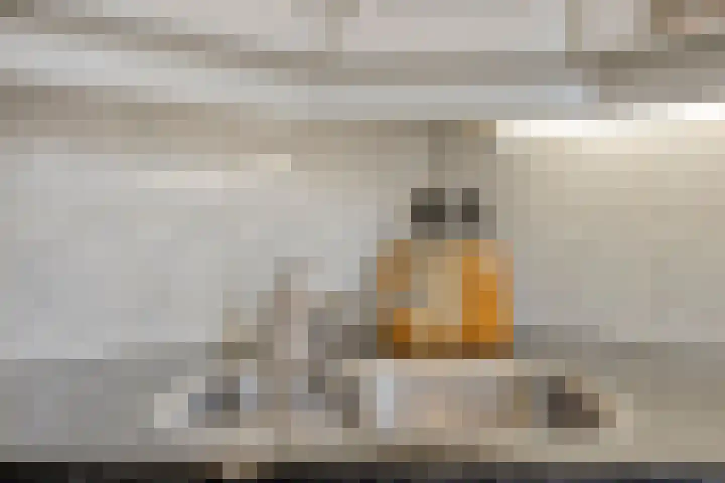 Schoemekerstraat 6 Oirschot thumbnail 18