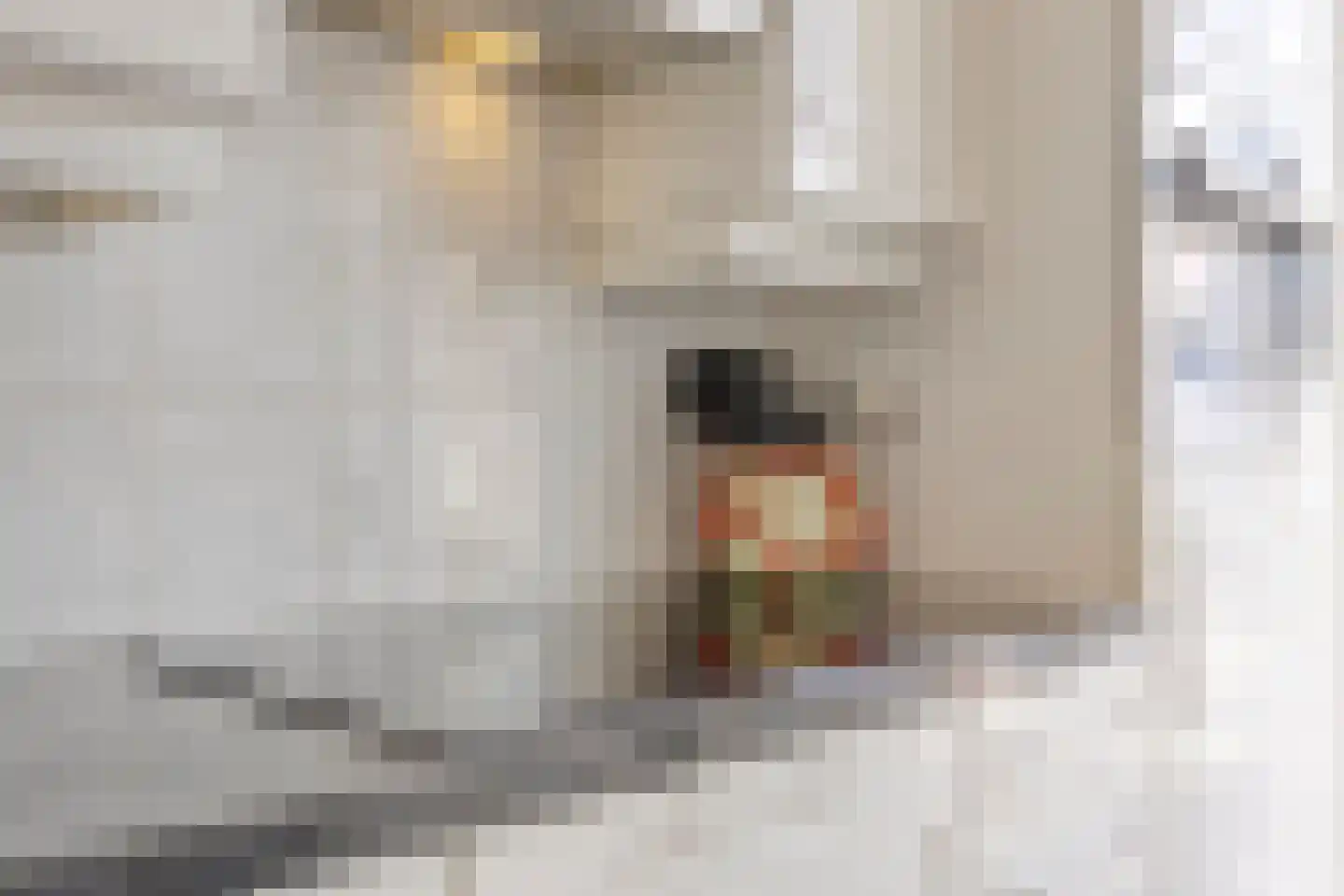 Schoemekerstraat 6 Oirschot thumbnail 19