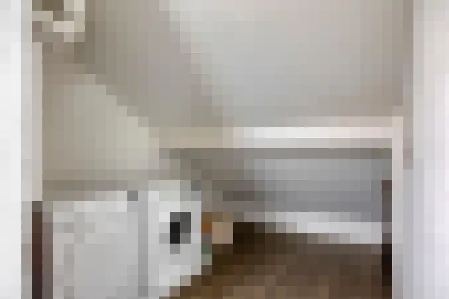 Schoemekerstraat 6 Oirschot thumbnail 37