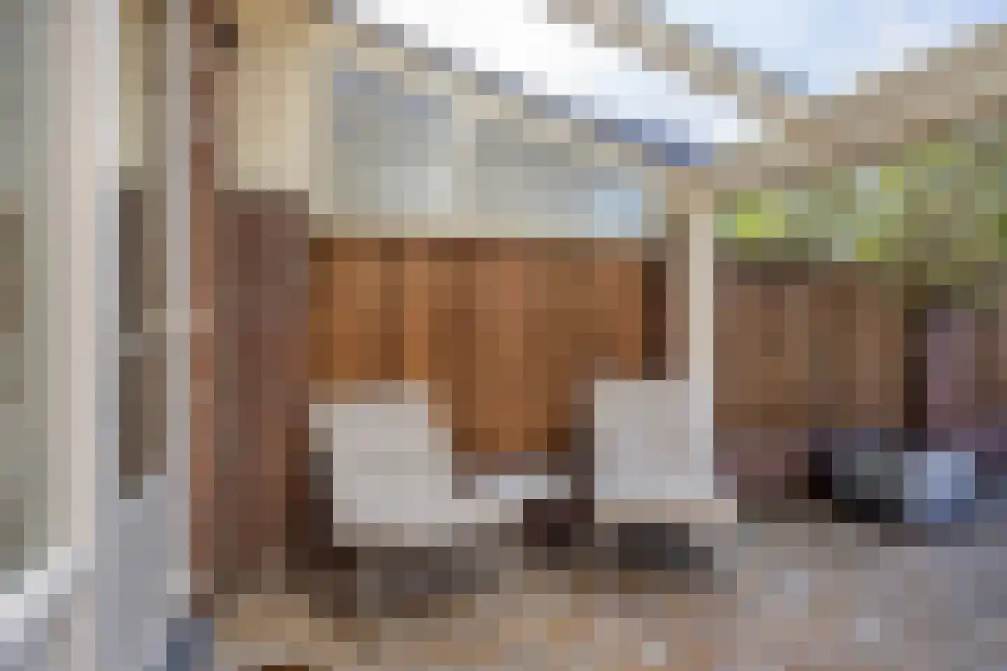 Schoemekerstraat 6 Oirschot thumbnail 44