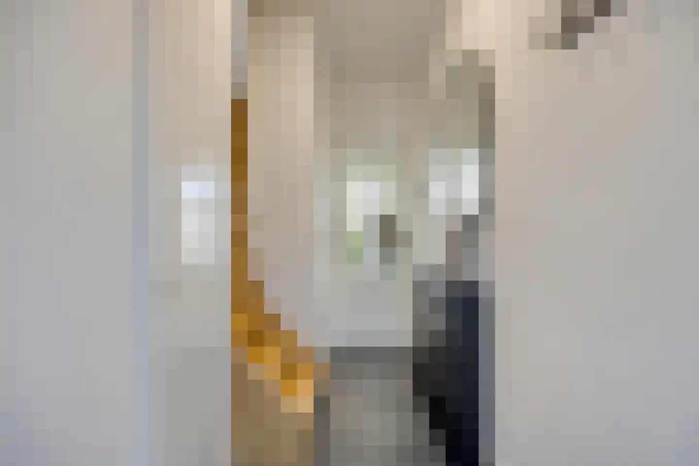Schoemekerstraat 6 Oirschot thumbnail 9