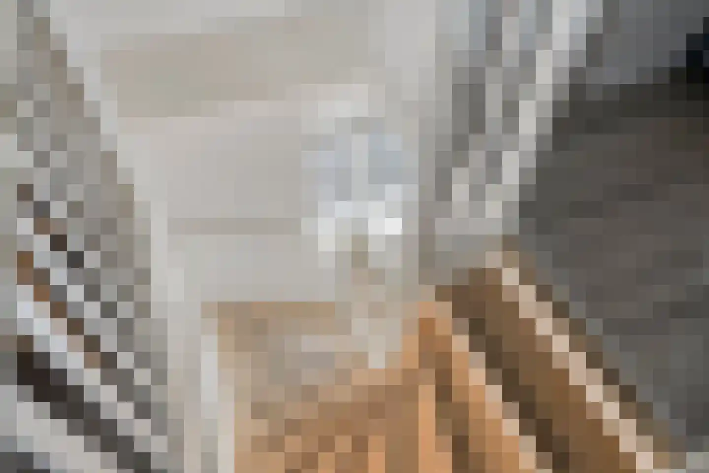 Schoener 1 Meppel thumbnail 25