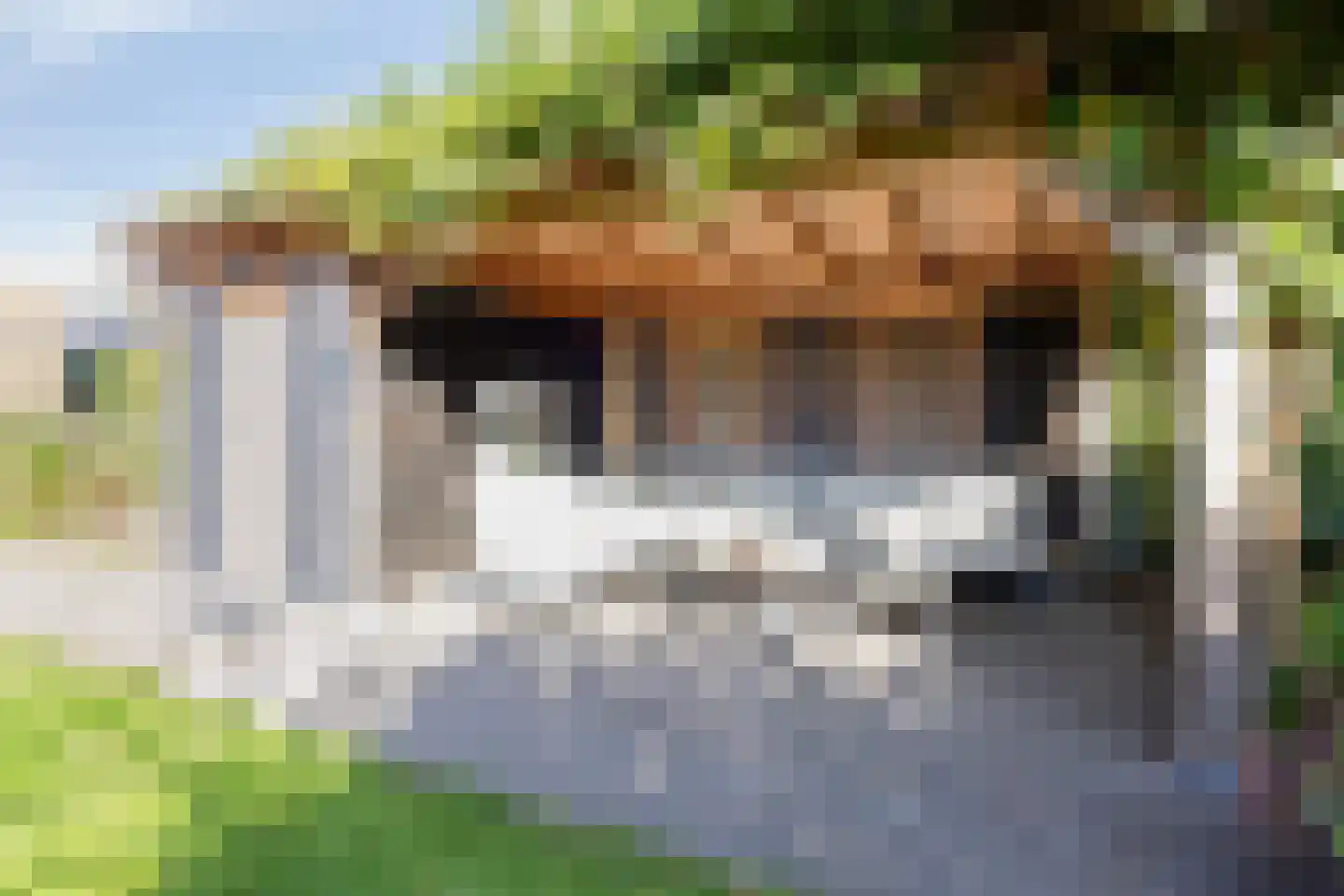 Schoener 1 Meppel thumbnail 31