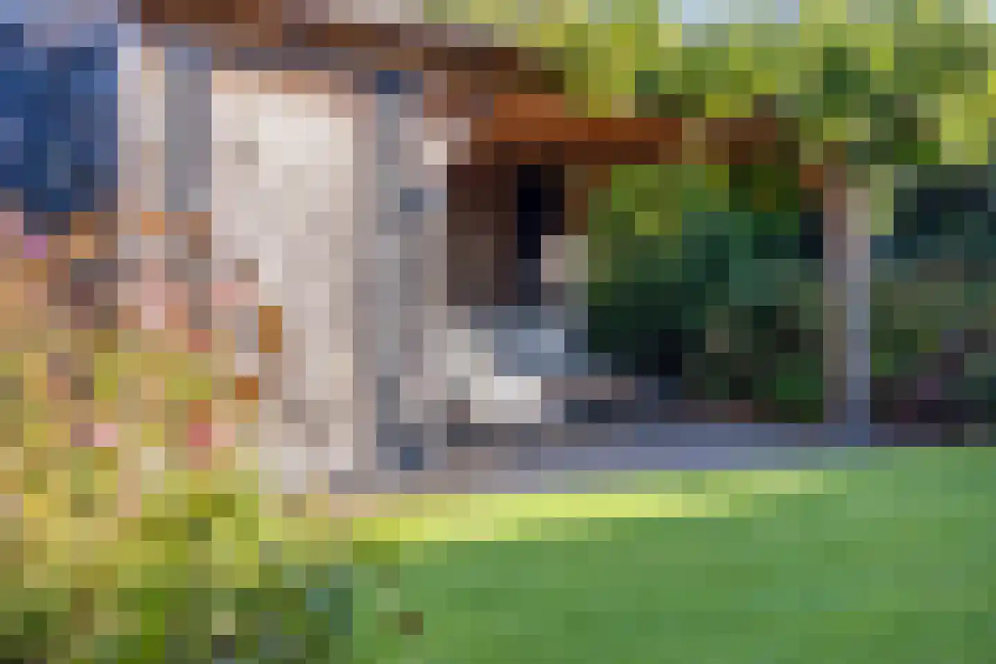 Schoener 1 Meppel thumbnail 32
