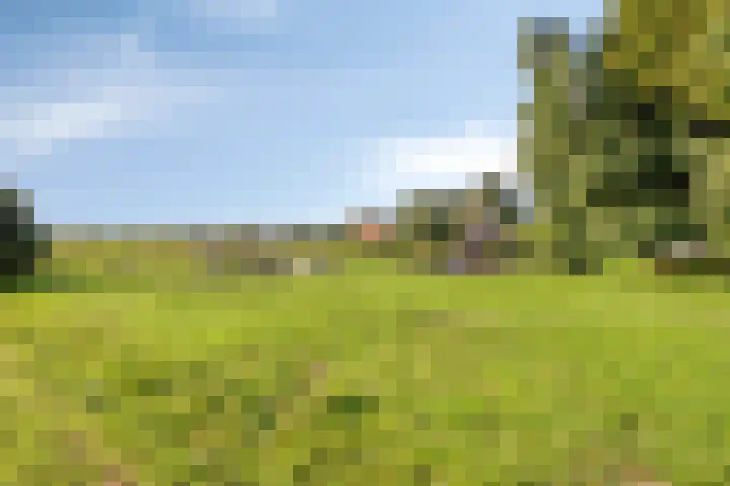 Schoener 1 Meppel thumbnail 38