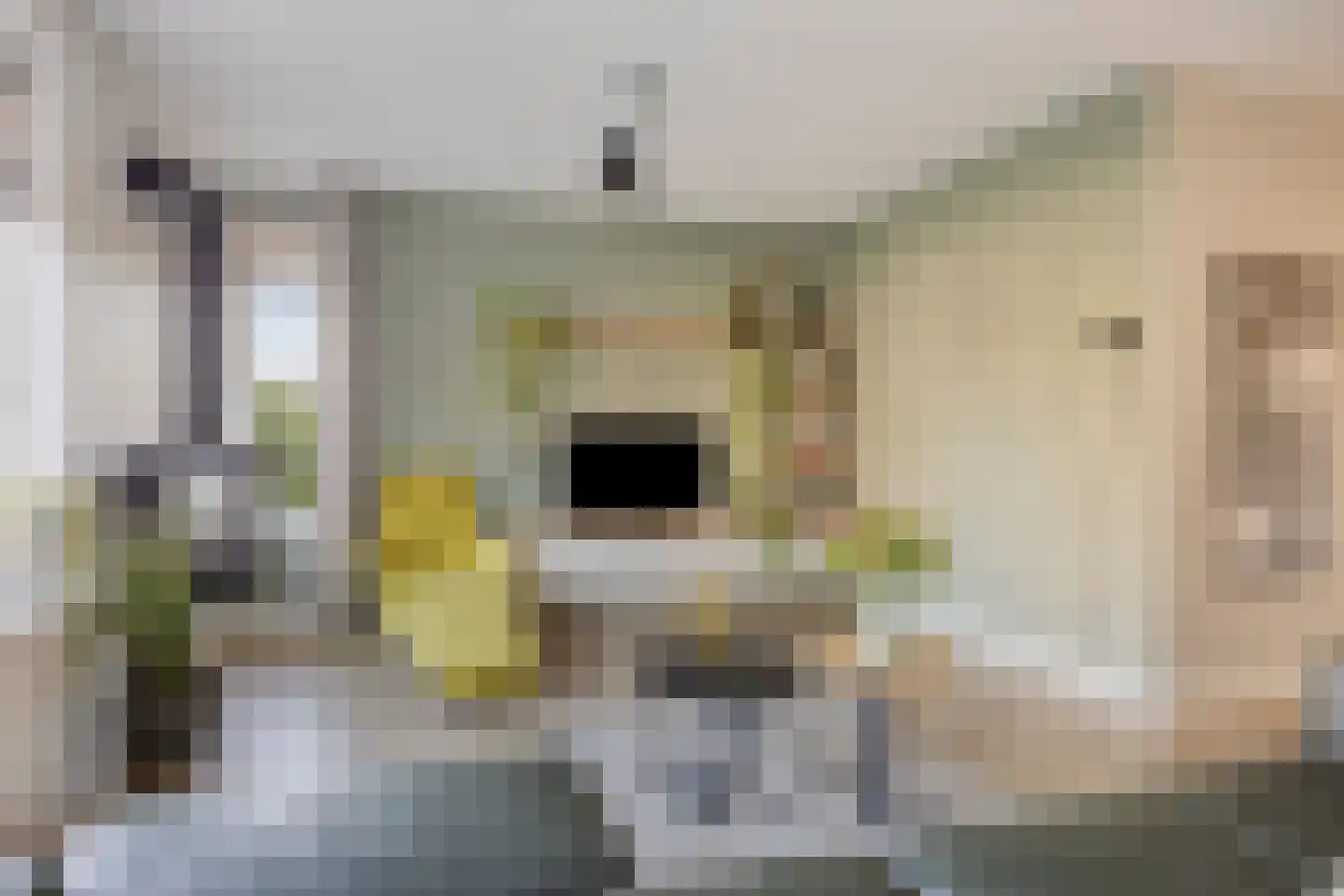 Schoener 1 Meppel thumbnail 4