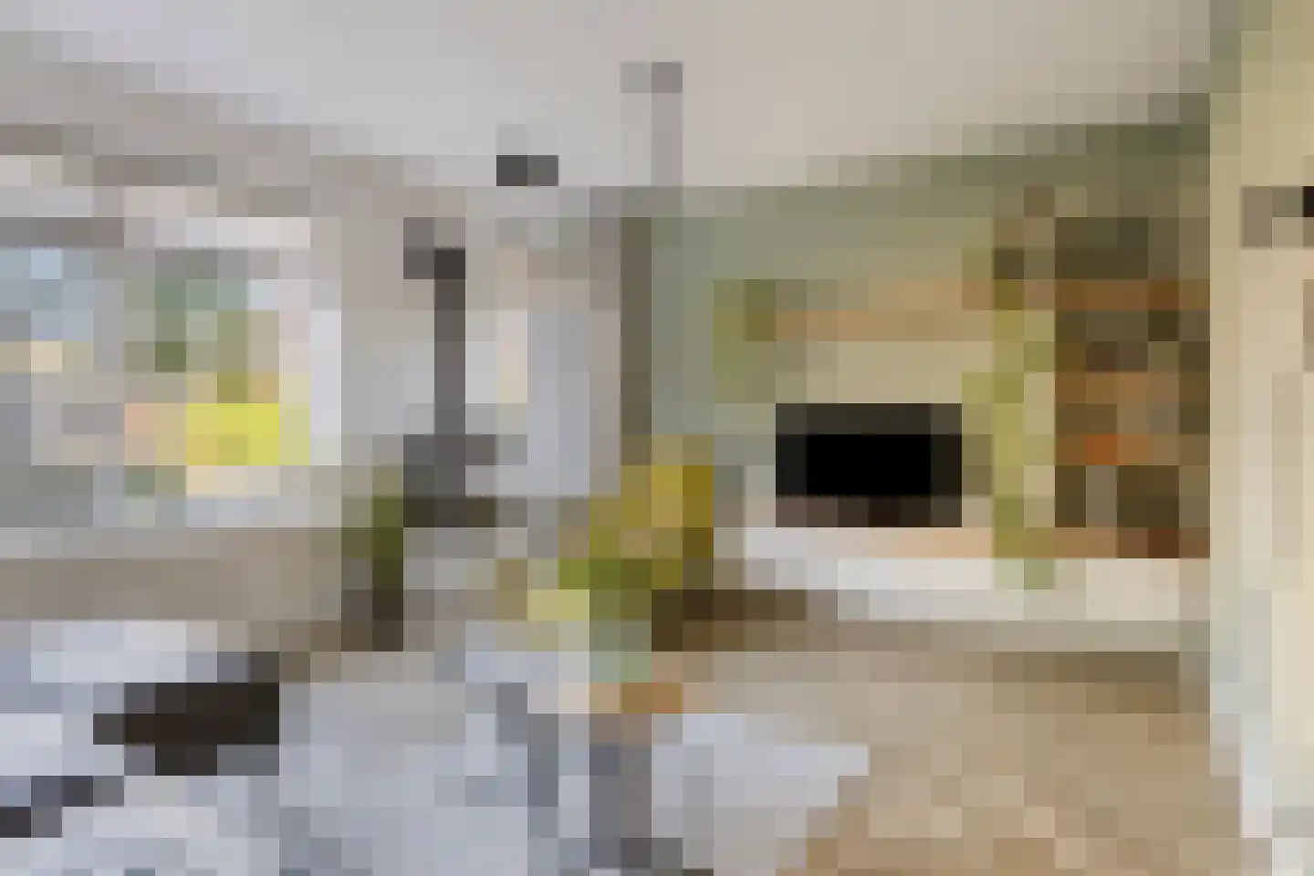 Schoener 1 Meppel thumbnail 8